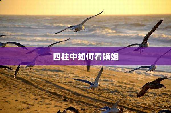 四柱中如何看婚姻