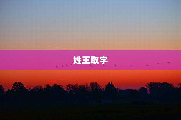 姓王取字