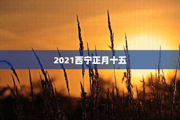 2021西宁正月十五