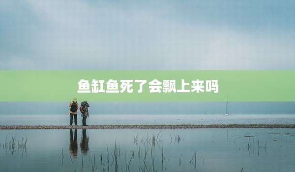 鱼缸鱼死了会飘上来吗