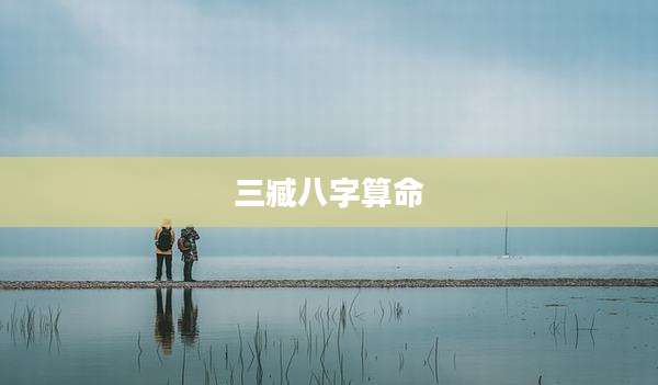 三臧八字算命