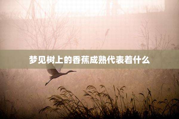 梦见树上的香蕉成熟代表着什么