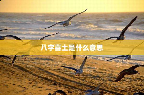 八字喜土是什么意思