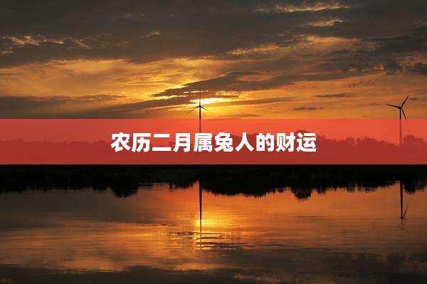农历二月属兔人的财运