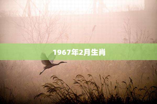 1967年2月生肖