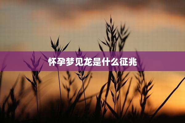 怀孕梦见龙是什么征兆