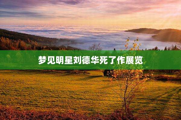 梦见明星刘德华死了作展览