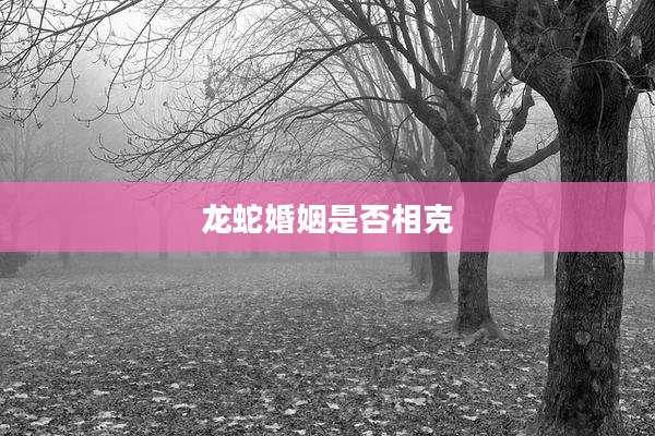 龙蛇婚姻是否相克