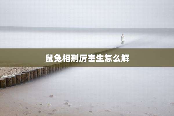 鼠兔相刑厉害生怎么解
