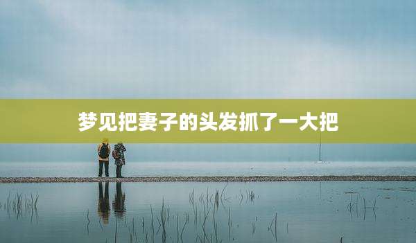 梦见把妻子的头发抓了一大把