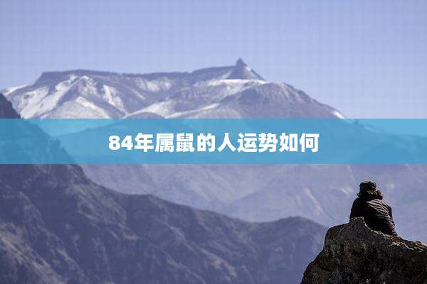 84年属鼠的人运势如何