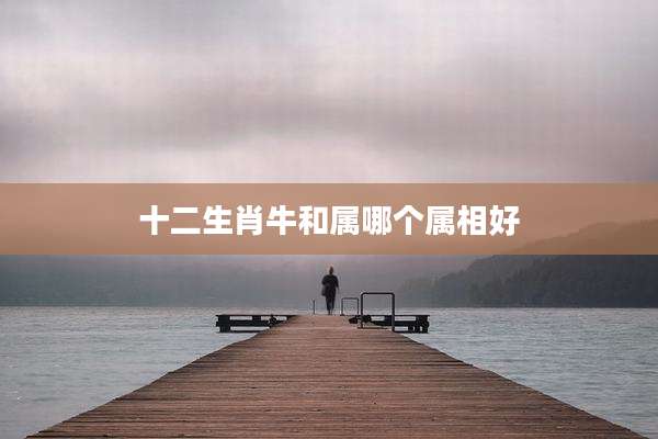 十二生肖牛和属哪个属相好