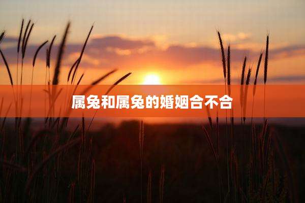 属兔和属兔的婚姻合不合