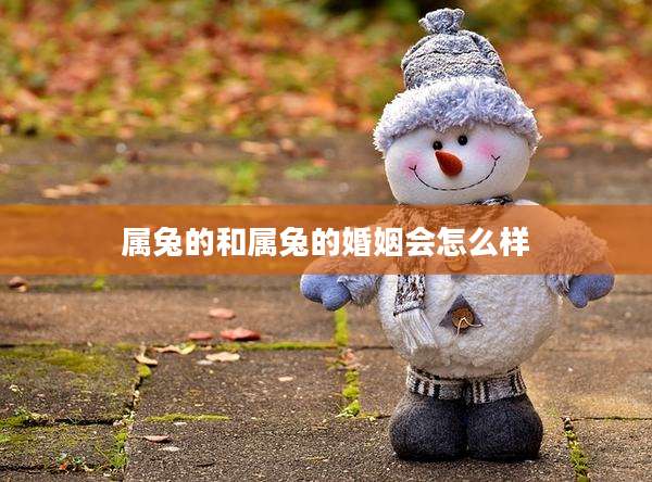 属兔的和属兔的婚姻会怎么样