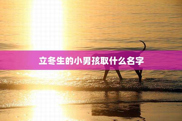 立冬生的小男孩取什么名字