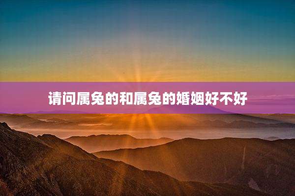 请问属兔的和属兔的婚姻好不好