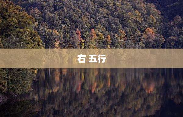 右 五行