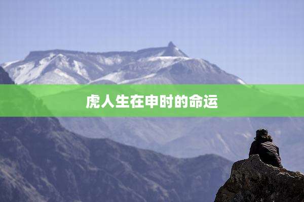虎人生在申时的命运