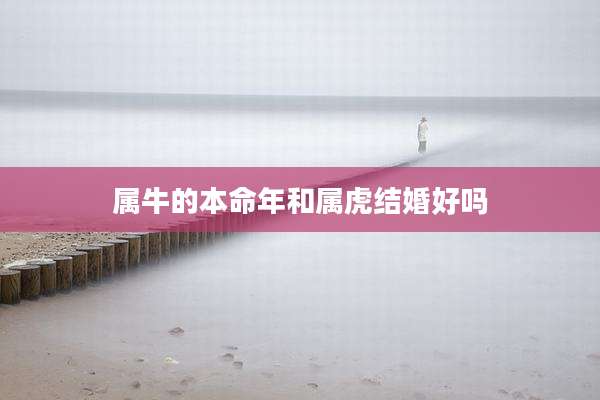 属牛的本命年和属虎结婚好吗