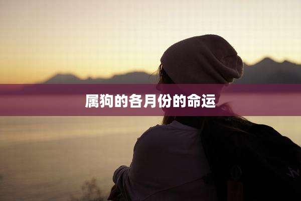 属狗的各月份的命运