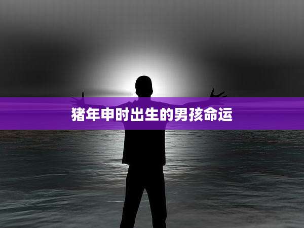 猪年申时出生的男孩命运