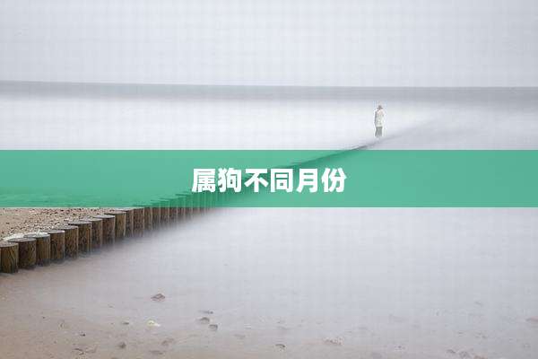属狗不同月份