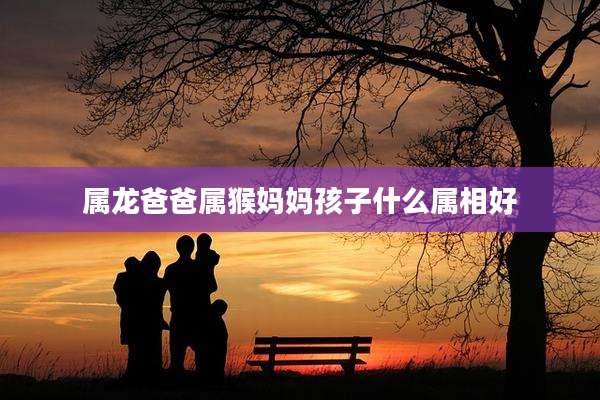 属龙爸爸属猴妈妈孩子什么属相好