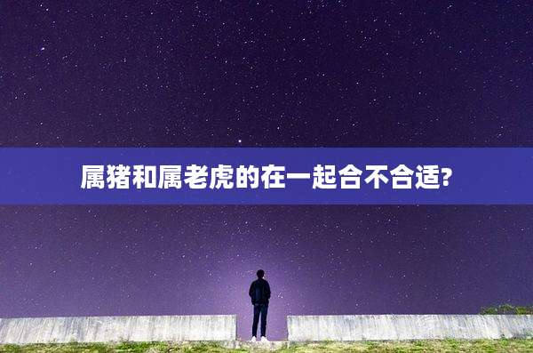 属猪和属老虎的在一起合不合适?