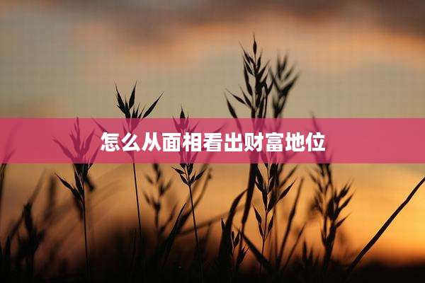 怎么从面相看出财富地位