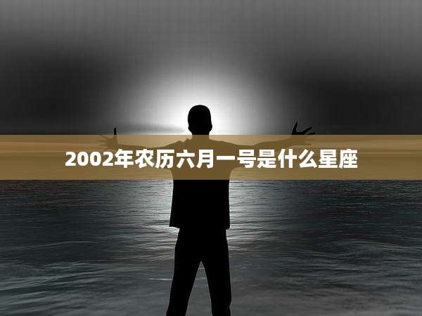 2002年农历六月一号是什么星座