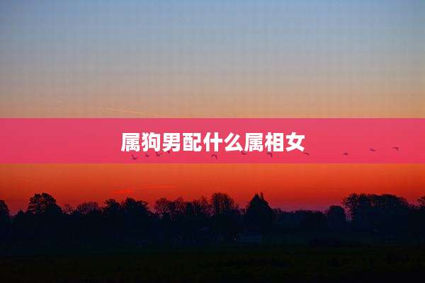 属狗男配什么属相女