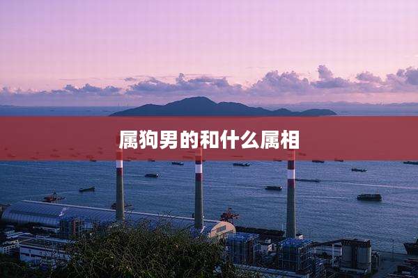 属狗男的和什么属相