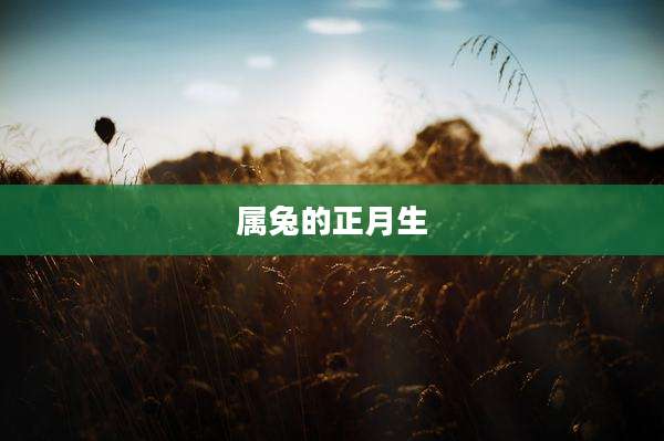 属兔的正月生