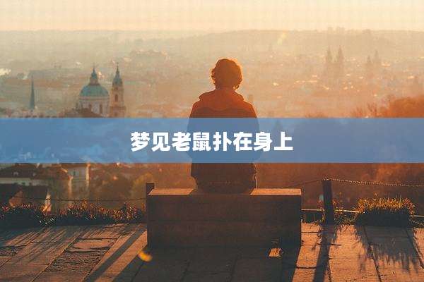 梦见老鼠扑在身上