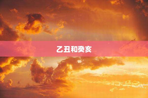 乙丑和癸亥