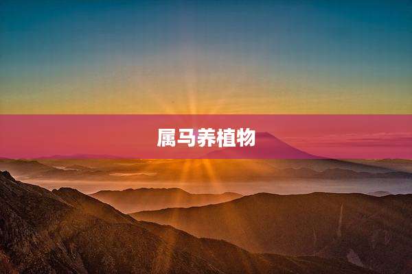 属马养植物