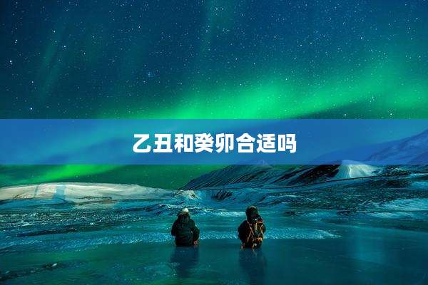 乙丑和癸卯合适吗