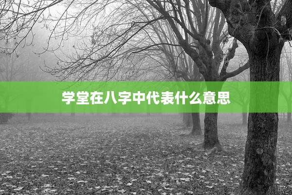 学堂在八字中代表什么意思