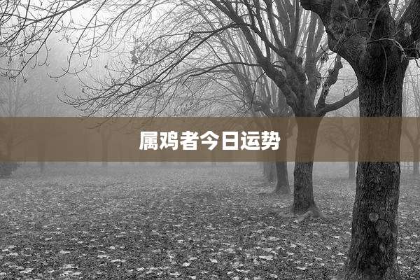 属鸡者今日运势