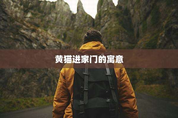 黄猫进家门的寓意