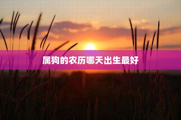 属狗的农历哪天出生最好