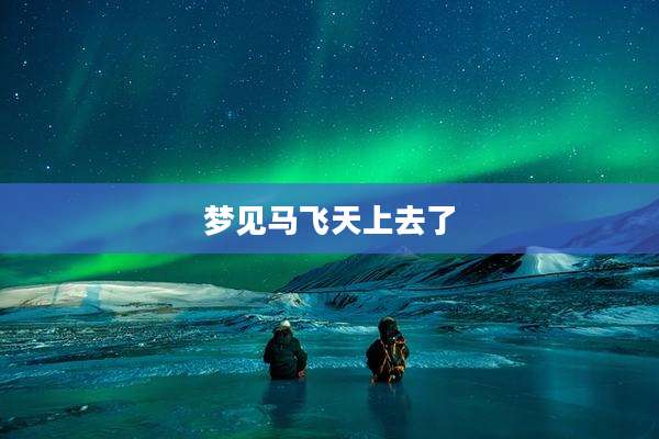 梦见马飞天上去了