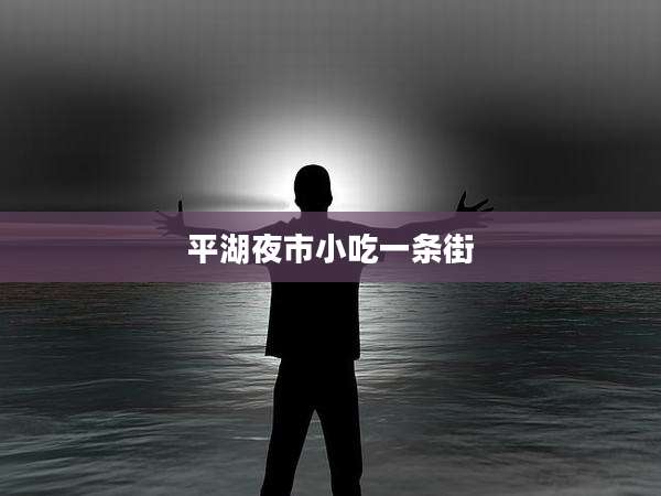 平湖夜市小吃一条街