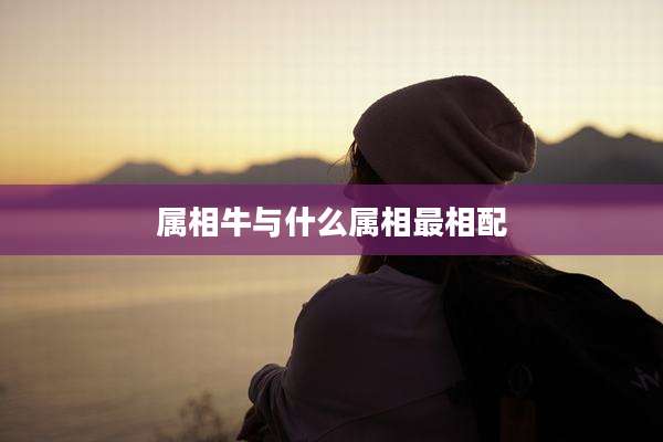 属相牛与什么属相最相配