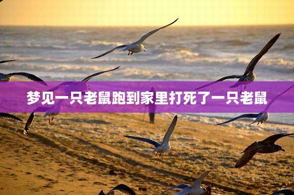 梦见一只老鼠跑到家里打死了一只老鼠