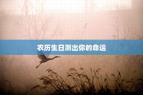农历生日测出你的命运