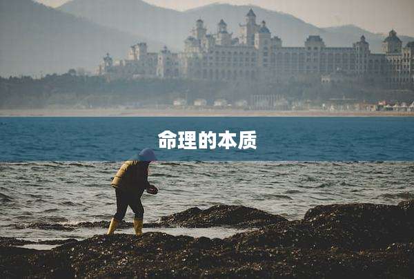 命理的本质