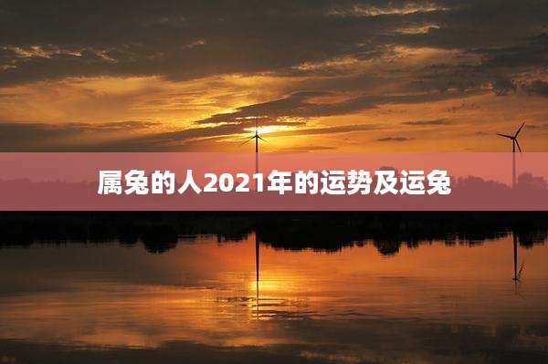属兔的人2021年的运势及运兔