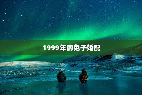 1999年的兔子婚配