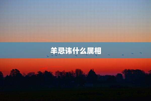 羊忌讳什么属相